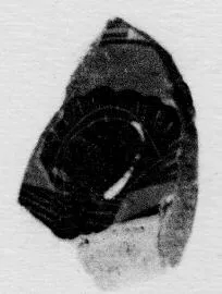 CUP, FRAGMENT (ATHENIAN, BLACK-FIGURE)