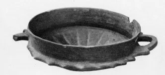 CUP (VEIAN)