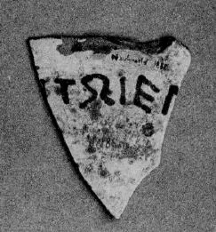 CHALICE, FRAGMENT (EAST GREEK, NAUCRATITE)