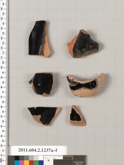 Terracotta fragments from a plastic vase