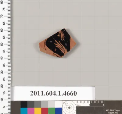 Terracotta fragment of a kylix (drinking cup)