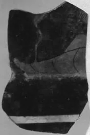 KANTHAROS, FRAGMENT (ATHENIAN, RED-FIGURE)