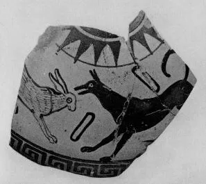 PYXIS LID, FRAGMENT (ETRUSCAN, BLACK-FIGURE)
