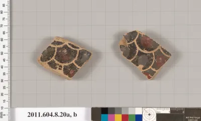 Terracotta fragments of an amphora (jar)?