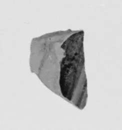 Attic Red-Figure Pelike Fragment