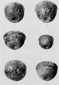 BOWL (GREEK, RELIEF)