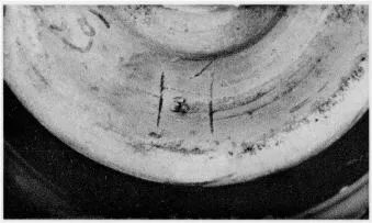 AMPHORA, NECK (ATHENIAN, BLACK-FIGURE)