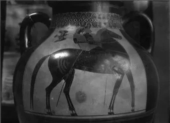 AMPHORA, BELLY, TYPE B (ATHENIAN, BLACK-FIGURE)