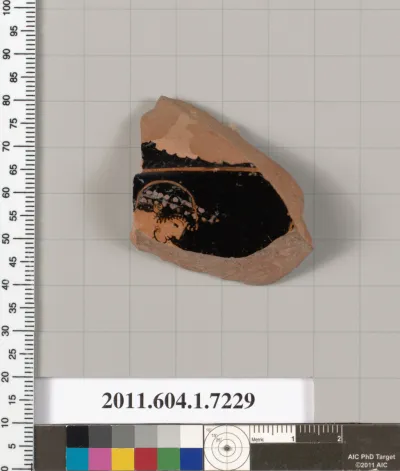 Terracotta fragment of a kylix (drinking cup)