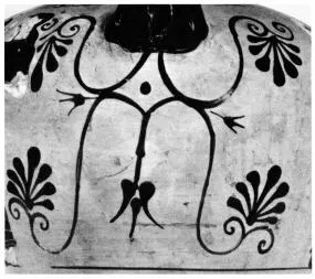 AMPHORA, NECK (ATHENIAN, BLACK-FIGURE)