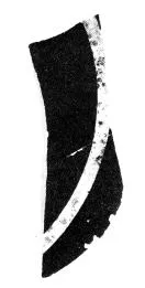 CUP, LITTLE MASTER LIP, FRAGMENTS (ATHENIAN, BLACK-FIGURE)
