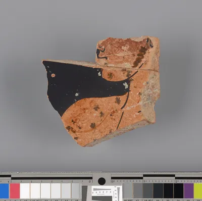 Attic Red-Figure Kalpis Fragment