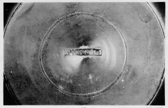 CUP (TERRA SIGILLATA)