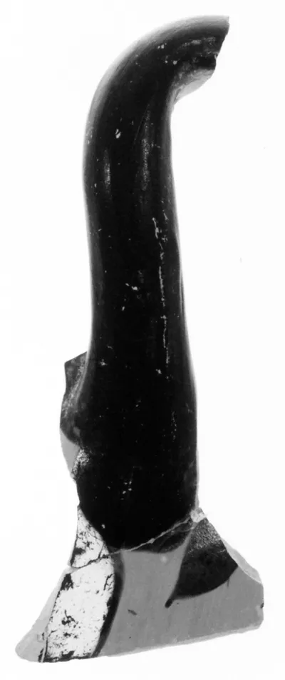 Attic Black-Figure Eye Cup Handle Fragment