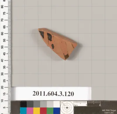 Terracotta fragment of an amphora (jar)