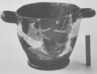 SKYPHOS (ATHENIAN, RED-FIGURE)