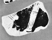 KRATER, FRAGMENT (ATHENIAN, RED-FIGURE)