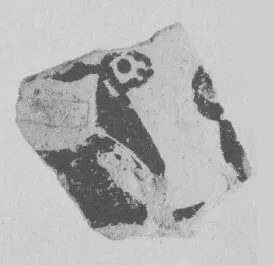 AMPHORA, BELLY, FRAGMENT (EAST GREEK, FIKELLURA)