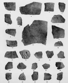 VARIOUS (VUCEDOL)