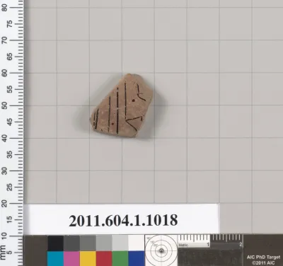 Terracotta fragment of a kylix (drinking cup)