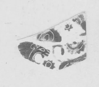 FRAGMENT (EAST GREEK, BLACK-FIGURE)