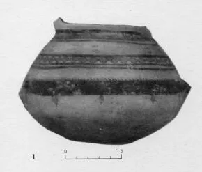 AMPHORA, BELLY (ITALIAN IRON AGE)