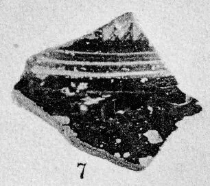 AMPHORA, NECK, FRAGMENT (PROTOATTIC)