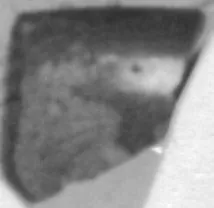 CUP, FRAGMENT (ATHENIAN, RED-FIGURE)