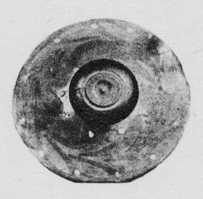AMPHORA, NECK (ETRUSCAN, BLACK-FIGURE)