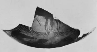 HYDRIA, FRAGMENTS (ATHENIAN, BLACK-FIGURE)