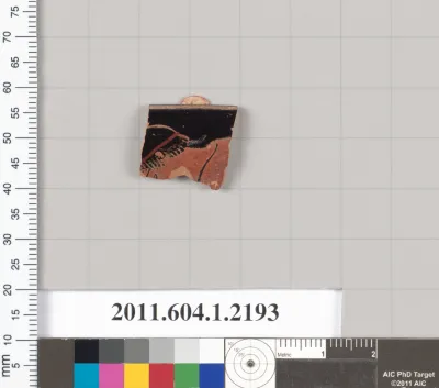 Terracotta rim fragment of a kylix (drinking cup)