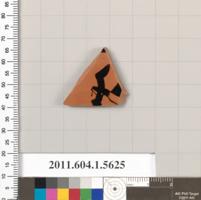 Terracotta fragment of a kylix (drinking cup)