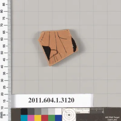 Terracotta fragment of a kylix (drinking cup)