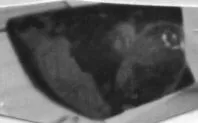 CUP, FRAGMENT (ATHENIAN, RED-FIGURE)