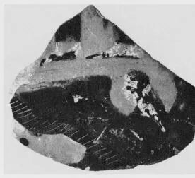 LOUTROPHOROS, FRAGMENT (ATHENIAN, BLACK-FIGURE)