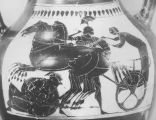AMPHORA, BELLY, TYPE B (ATHENIAN, BLACK-FIGURE)