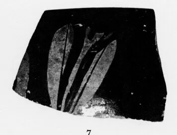 SKYPHOS, FRAGMENT (ATHENIAN, RED-FIGURE)