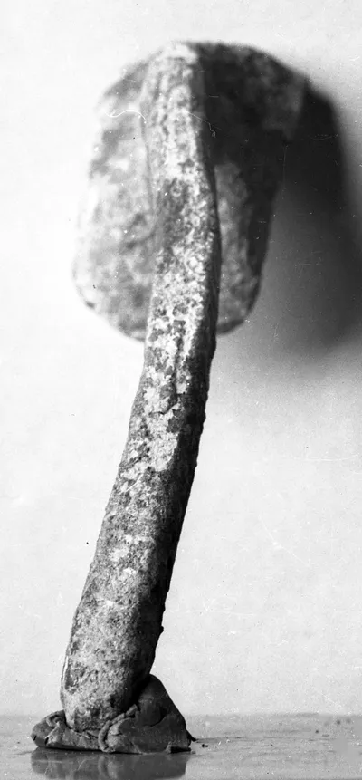 Miniaturdreifußbein