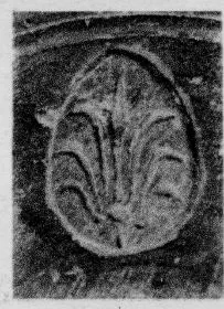 CUP, STEMLESS, FRAGMENT (SOUTH ITALIAN, CAMPANIAN, RELIEF)
