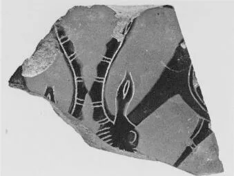 AMPHORA (?), FRAGMENT (ATHENIAN, BLACK-FIGURE)