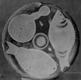 FISH PLATE (SOUTH ITALIAN, CAMPANIAN, RED-FIGURE)