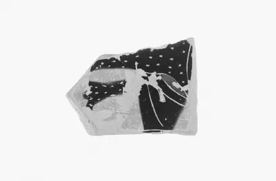 Attic Black-Figure Vase Fragment