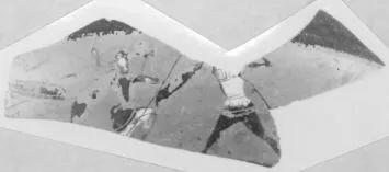 CUP, LITTLE MASTER BAND, FRAGMENTS (ATHENIAN, BLACK-FIGURE)