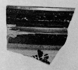 PYXIS, FRAGMENT (ETRUSCAN, BLACK-FIGURE)