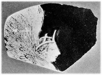 FRAGMENT (ATHENIAN, RED-FIGURE)