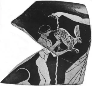 CUP, FRAGMENT (ATHENIAN, RED-FIGURE)