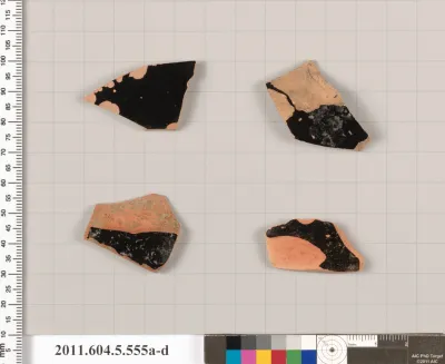 Terracotta fragments of kylikes (drinking cups)