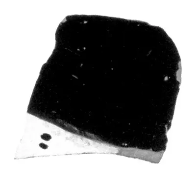 Attic Red-Figure Duck Askos Fragment
