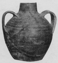 AMPHORA, BELLY (ROMAN)