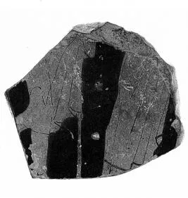 CUP, FRAGMENT (ATHENIAN, RED-FIGURE)
